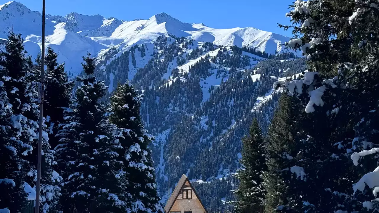 Best Guides for Alpine Trails